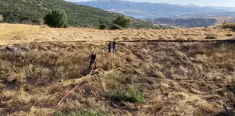 Giresun'da Buğday Tarlasında Yangın: Ekinler Zarar Gördü