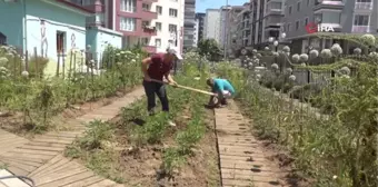 AtaTohum'da yazlık fideler toprakla buluştu