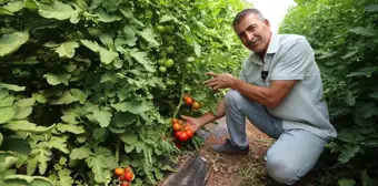 Aksaray'da tarımsal destek ve hibe projelerinden yararlanan sebze üreticisi üretimini 100 tona çıkardı