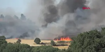 Keşan'da Buğday Ekili Arazide Yangın: 2 Bin Dönüm Alan Zarar Gördü