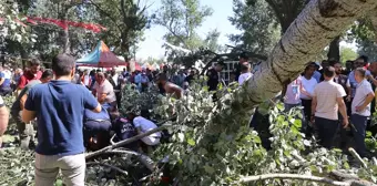 Edirne'de devrilen ağacın altında kalan 2 kişi yaralandı