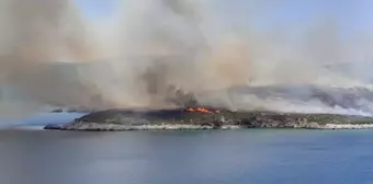 İzmir Urla'da çıkan yangına havadan ve karadan müdahale başlatıldı