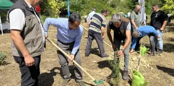 Sinop'ta 15 Temmuz şehitleri anısına fidan dikimi gerçekleştirildi