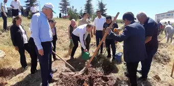 Tufanbeyli'de 15 Temmuz Şehitleri Anısına Fidan Dikimi Yapıldı