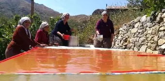 Erzincan'ın Kemaliye ilçesinde kadınlar imece usulü pestil ve pekmez yapıyor