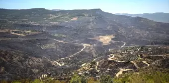 Mersin'deki Orman Yangını Kontrol Altına Alındı