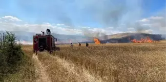 Tokat'ta Yangın Sonucu 50 Dönümlük Buğday Tarlası Kül Oldu