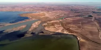 Akyatan Lagünü'nde Balık Popülasyonu Tehlikede