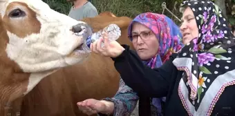 Yalova'da Köylüler Susuzluk Nedeniyle Eylem Yaptı