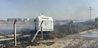 Çorlu'da çıkan yangında 10 dönüm tarla zarar gördü