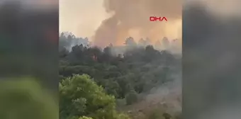 Beykoz'da Orman Yangınları Kontrol Altına Alındı