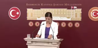 Meral Danış Beştaş: 'Merkez Bankası En Üst Düzeyde 'Ekonomi Çok Kötü Gidiyor' Demiş Oldu'