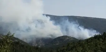 Bilecik'te çıkan orman yangınına müdahale ediliyor