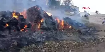 Van Saray'da çıkan ot yangınında 8 bin bağ ot kül oldu