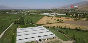 Erzincan'da Seracılık Sektörü Gelişmeye Devam Ediyor