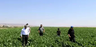 Ağrı İl Tarım ve Orman Müdürü çiftçileri ve veteriner hekimleri ziyaret etti