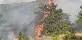 Eskişehir'deki Ormanda Yangın Söndürme Çalışmaları Devam Ediyor