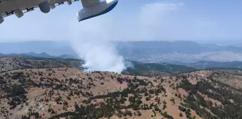 Eskişehir Alpu'da Orman Yangınına Havadan ve Karadan Müdahale Ediliyor