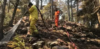 Antalya'da Orman Yangınına Havadan ve Karadan Müdahale Devam Ediyor