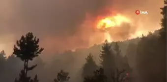 Antalya'da orman yangını