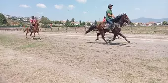 Kocaeli'de Rahvan At Yarışları gerçekleştirildi