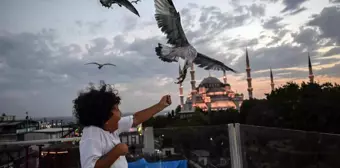 Ayasofya ve Sultanahmet Camii'nde Martıları Beslemek İçin İstanbul'a Gelen Turistler