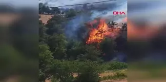 Çanakkale'deki Orman Yangınının Başladığı Nokta Görüntülendi