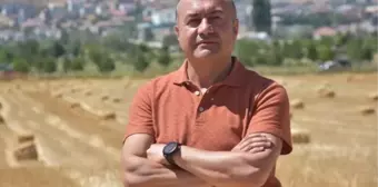 Sarı Pas Hastalığı Tarım Ürünlerinin Kalitesini Düşürdü