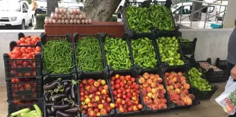 TOGÜ'de Üretilen Meyve ve Sebzeler İçin Yeni Satış Noktası Açıldı