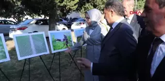 Tekirdağ'da Bağ Bozumu Şenliği Düzenlendi