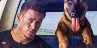 K-9 filmi oyuncuları kim? K-9 filmi konusu, oyuncuları ve K-9 özeti!