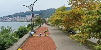 Giresun'da Fındık Üreticileri Sahil Kenarında Kurutma Yapıyor