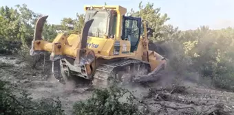 Kütahya'da çıkan orman yangınında yaralananların sağlık durumu iyi