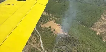 Muğla'da Orman Yangını Kontrol Altına Alınmaya Çalışılıyor