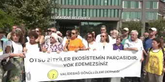 Validebağ Gönüllüleri: Üsküdar Belediyesi Yine Kendinden Bekleneni Yaptı Koru'nun Otsu Bitkilerini Katletti