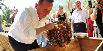 Uluslararası Food Fest Antalya Gastronomi Festivali'nde Mor Üzüm Hasadı Yapıldı