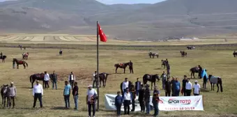 Ardahan'da Rahvan At Yarışları ve Doğu Anadolu Şampiyonası Düzenlendi