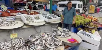 Av yasağı bitti, tezgahlar balıkla doldu! İstavrit ve hamsinin kilosu 100 liradan, barbun ile zargana 200 liradan satılıyor