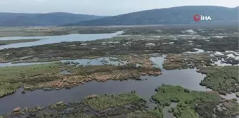 Karacabey Longoz Ormanları'nda Sonbahar Manzaraları