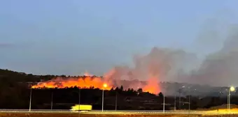 Çanakkale'de makilik alanda yangın çıktı