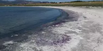 Burdur Gölü'nde Sahil Mor Renge Büründü