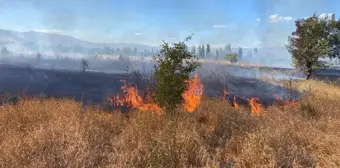 Erzincan'da arazide çıkan yangın itfaiye ekipleri tarafından söndürüldü