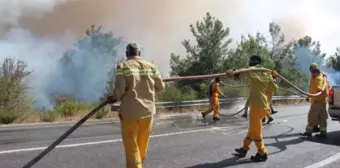 İzmir Gümüldür yangını söndürüldü mü? İzmir'de yangın neden çıktı? Orman yangını son durum ne?