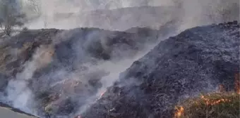 Pendik'te çıkan yangın evlere sıçramadan söndürüldü