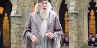 Dumbledore gerçekte öldü mü? Harry Potter Dumbledore ölüm sebebi ne? Michael Gambon neden öldü?