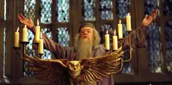 Harry Potter Albus Dumbledore kimdir, tam adı ne? Albus Dumbledore sözleri! Dumbledore kaç yaşında?