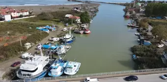 Karadeniz'de avlanan deniz salyangozları ihraç ediliyor