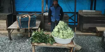 Ordu'nun Çambaşı Yaylası'nda Yetişen Dürme Pancarı Yöre Halkına Gelir Sağlıyor