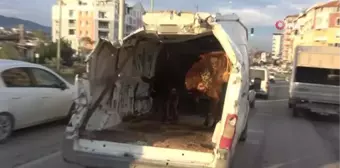 Enkazdan çıkardığı aracıyla boğasını taşıyınca, trafikte ilgi odağı oldu