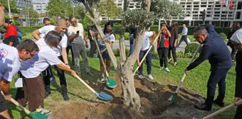 Antalya Büyükşehir Belediye Başkanı Muhittin Böcek, Gençlerle Zeytin Ağacı Dikti